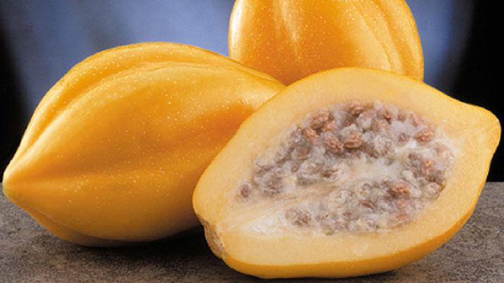 Buah Carica – Si Emas Dataran Tinggi Dieng yang Unik dan Kaya Manfaat